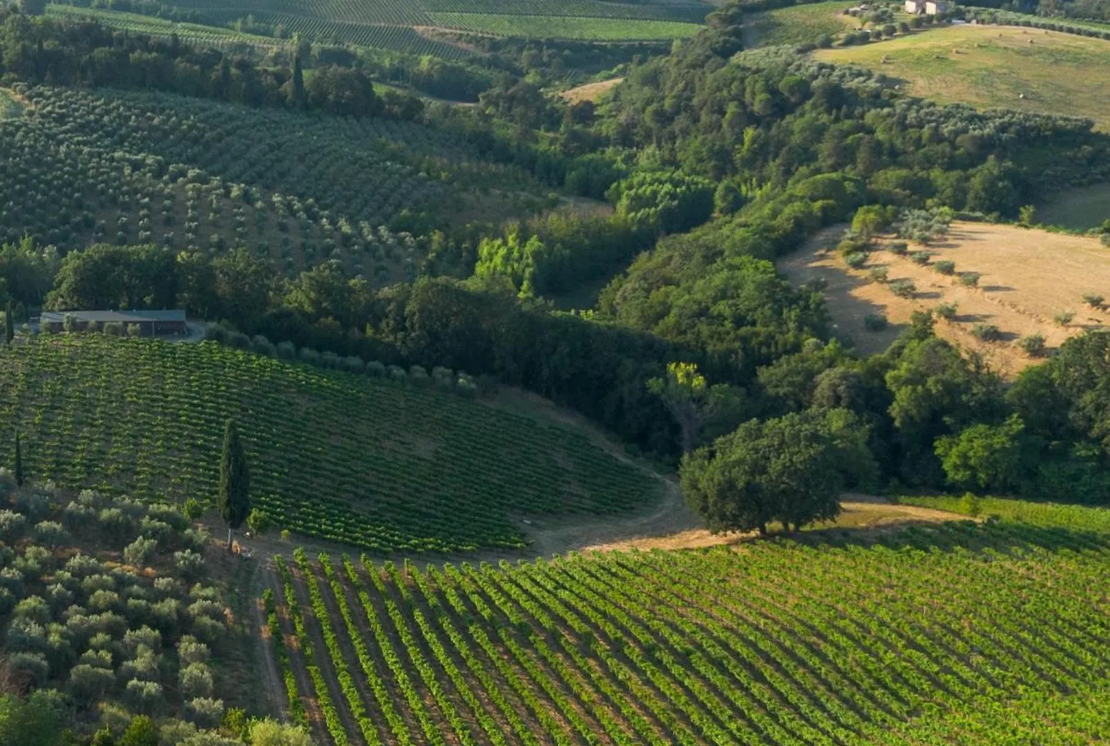 Hotel Cappuccina Country Resort San Gimignano